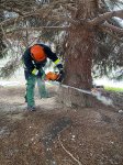 19.11.2022 Christbaum für die Kremser Feuerwehr